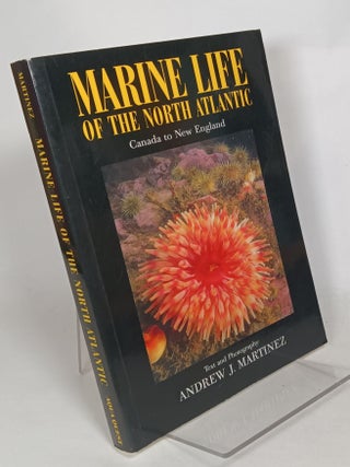 Item #116905 Marine Life of the North Atlantic: Canada to New England. Andrew J. MARTINEZ