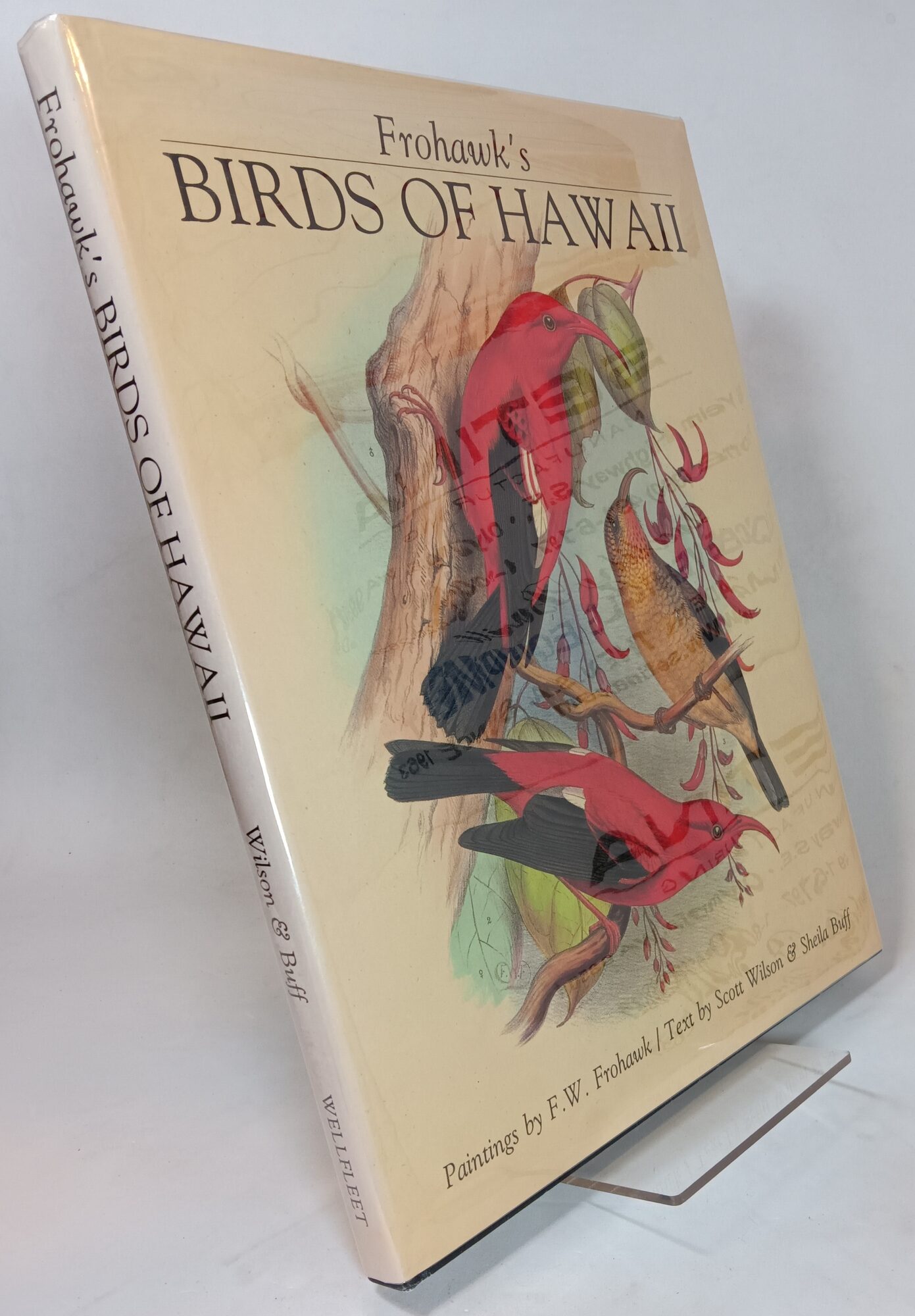 Frohawk's Birds of Hawaii | Scott WILSON, Sheila Buff | 1st Edition