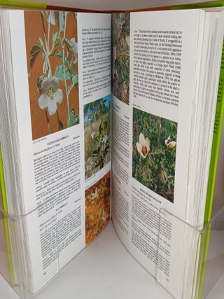 Plants of Western New South Wales