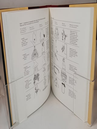 The Mapping of New Spain: Indigenous Cartography and the Relaciones Geográficas