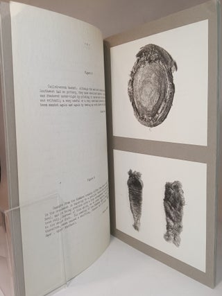 Peabody Museum Expedition to the Mimbres Valley, New Mexico