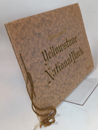 Item #86747 Treasures of Yellowstone National Park. HAYNES, J E